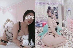 NGOC ลุงโฮหลงใหลในประเทศ